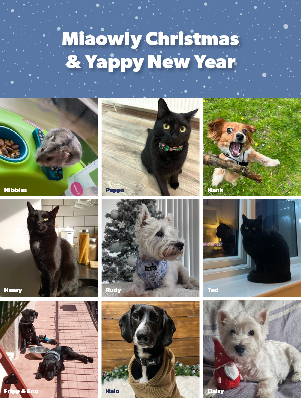 Miaowly Christmas & Yappy New Year